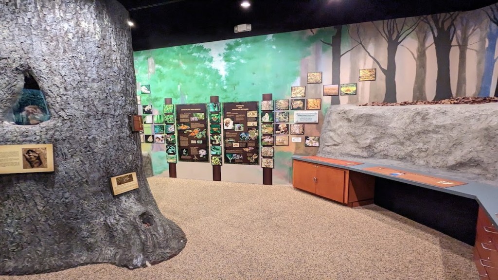 Best Locations for Birthday Parties for Littles in Waco, Texas Modern