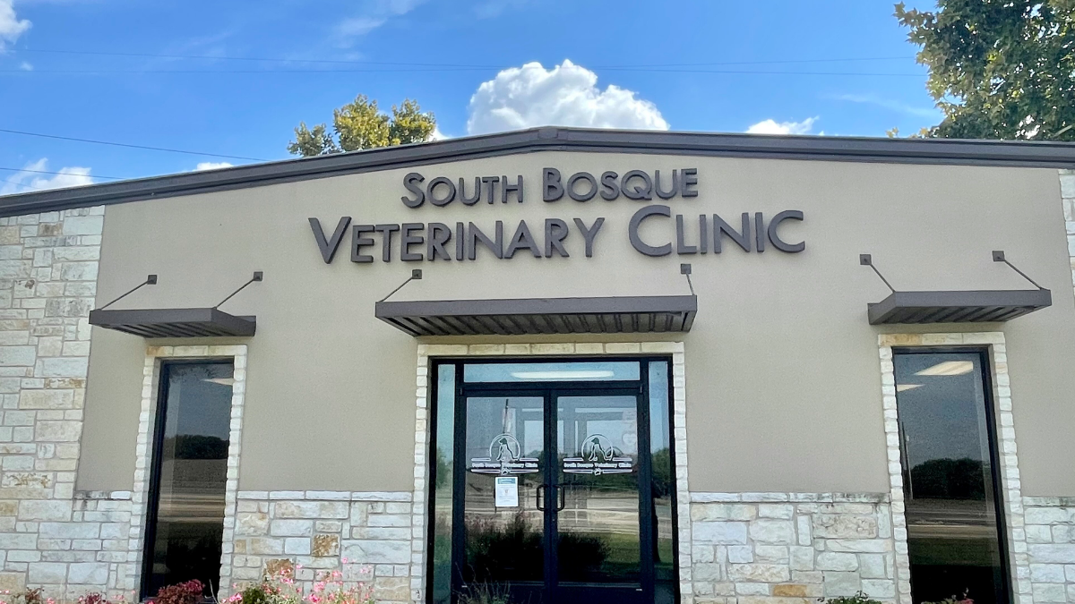 Veterinarian Champions Modern Texas Living