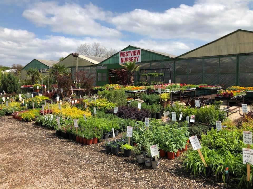 Westview Nursery