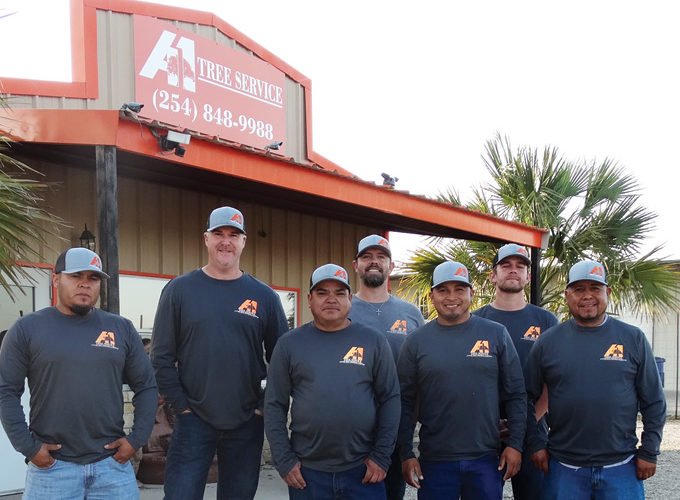 A-1 Tree Service